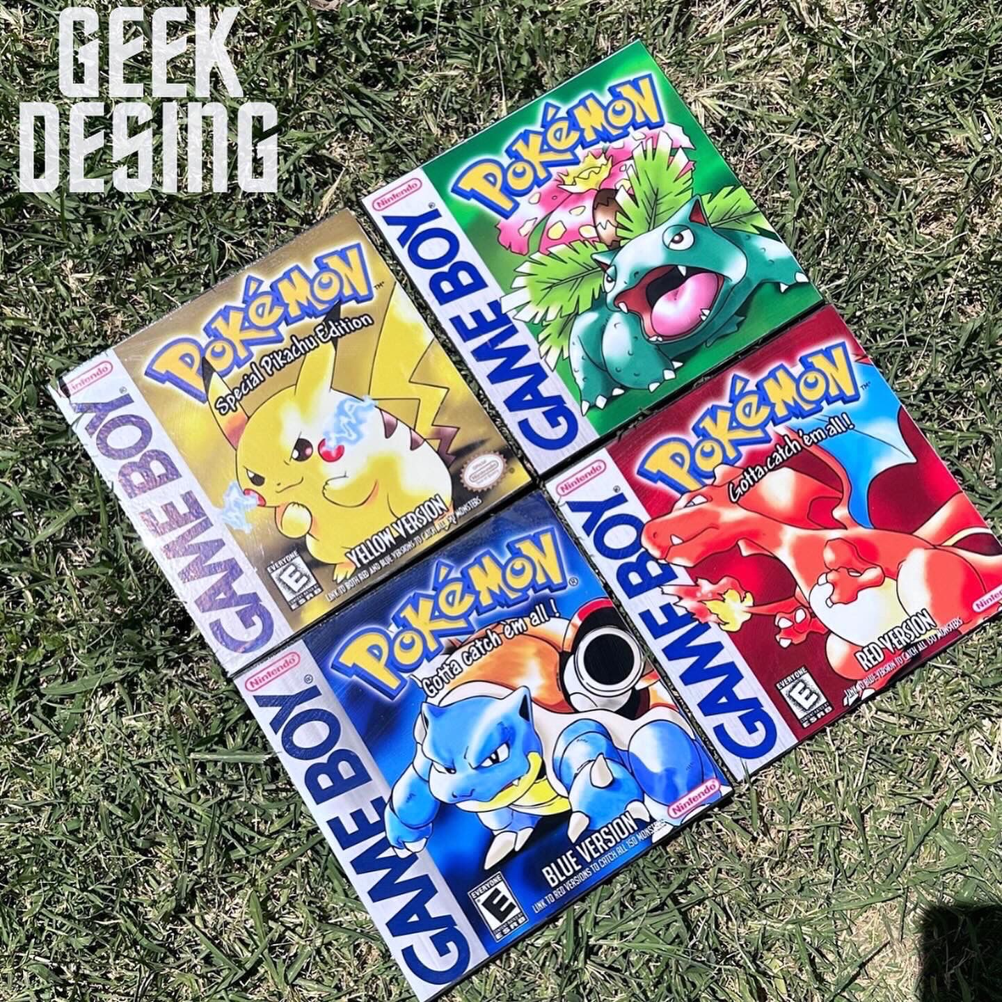 Set de Cuadros de Pokemon